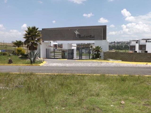 place photo 20