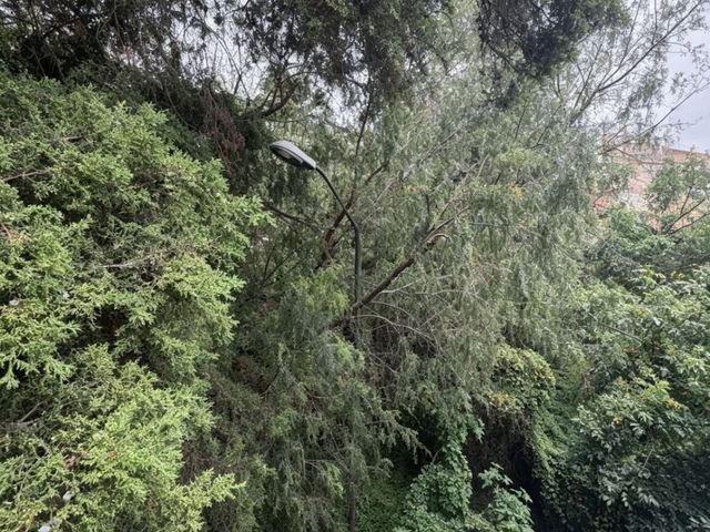place photo 41