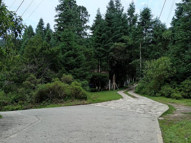 place photo 31