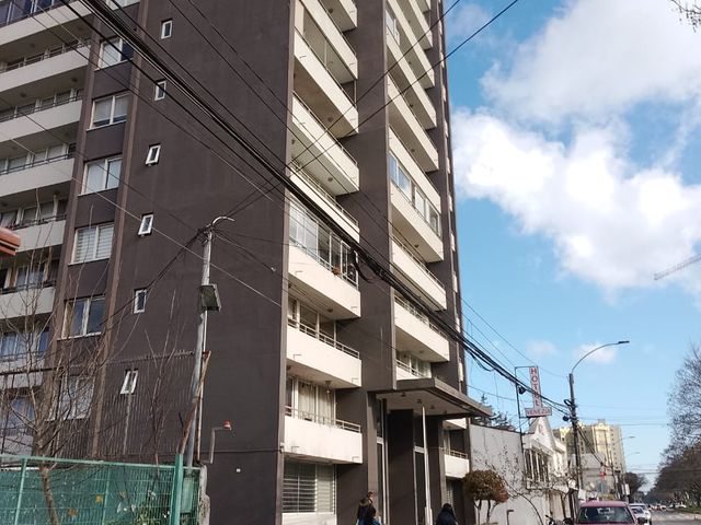 place photo 17