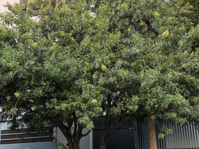 place photo 27