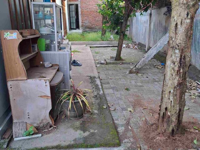 place photo 13