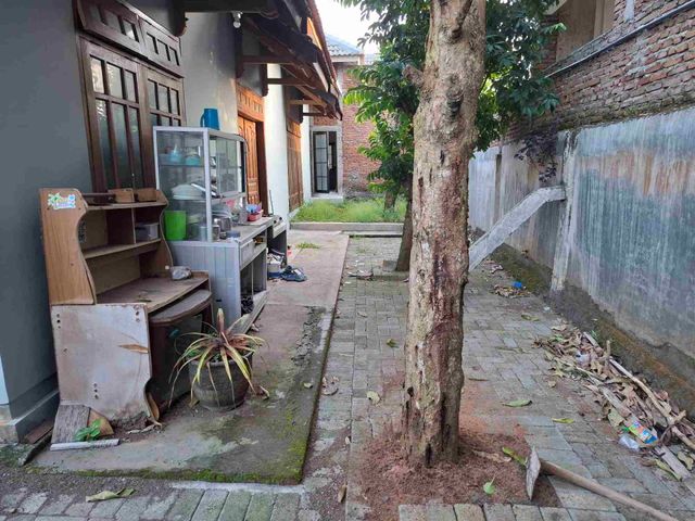 place photo 14