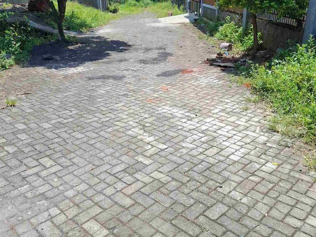 place photo 4