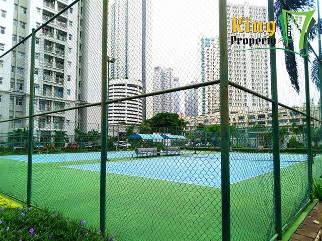 place photo 25
