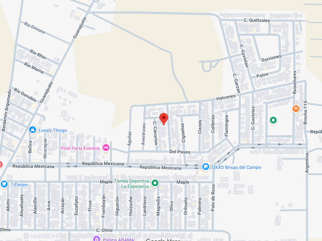 place photo 8