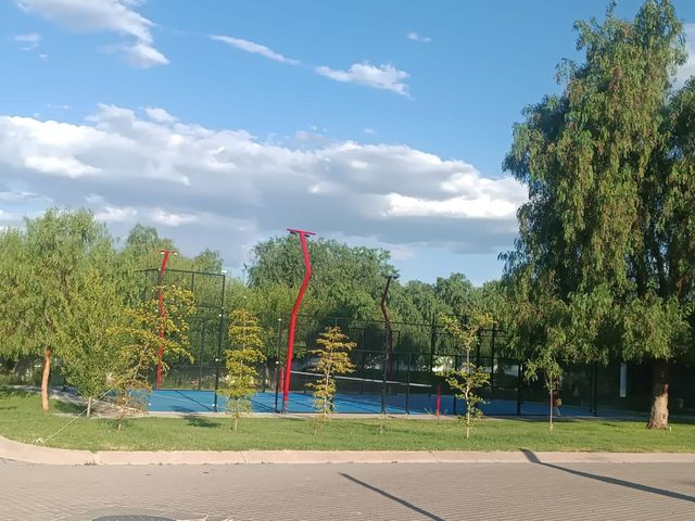 place photo 37