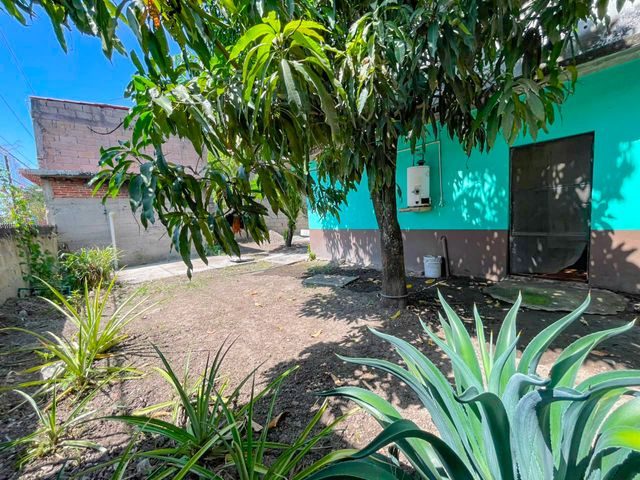 place photo 52