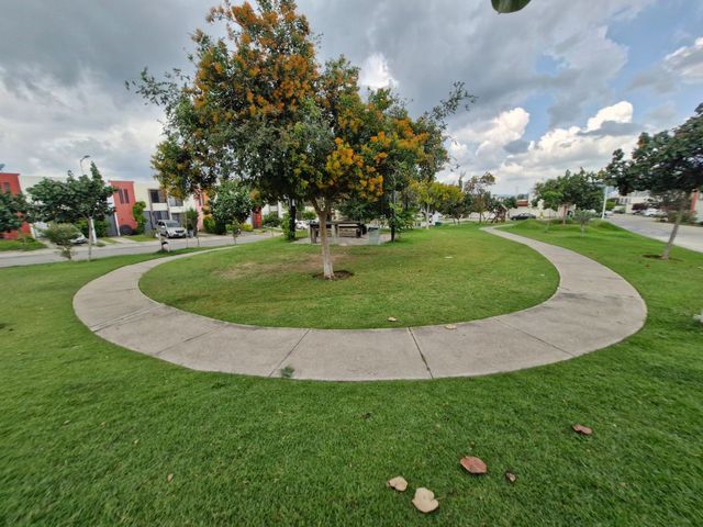 place photo 29
