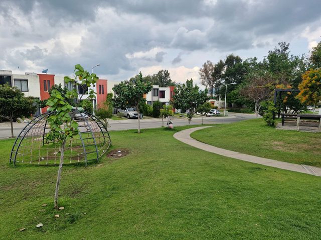 place photo 30