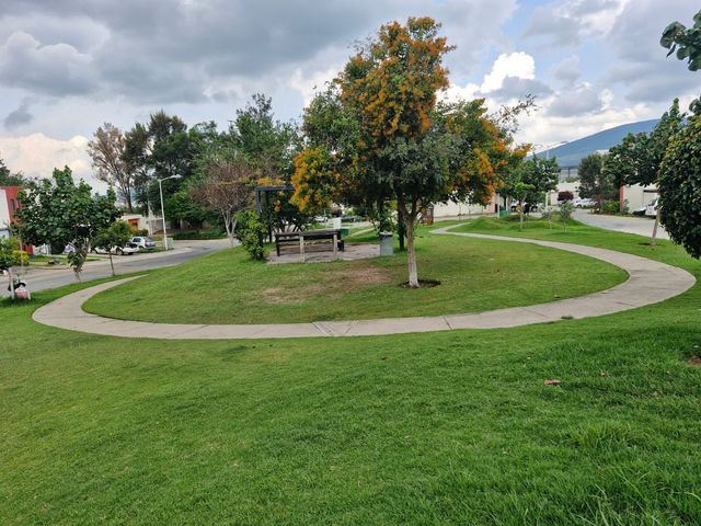 place photo 31