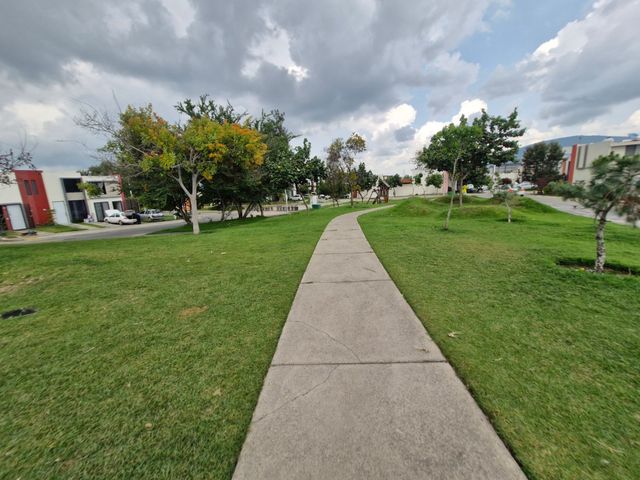 place photo 33