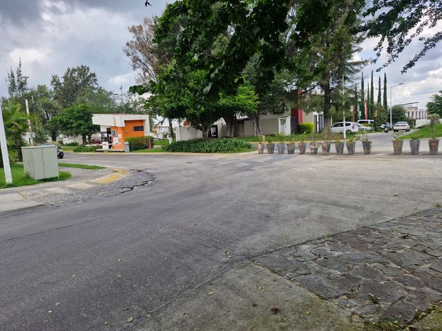 place photo 36