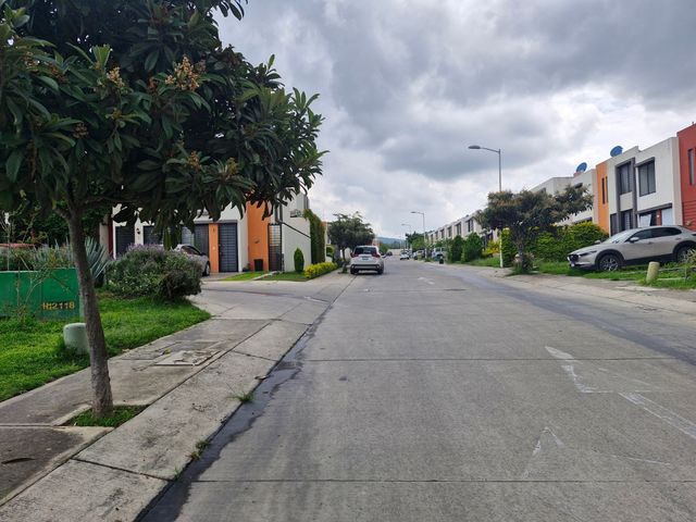 place photo 37