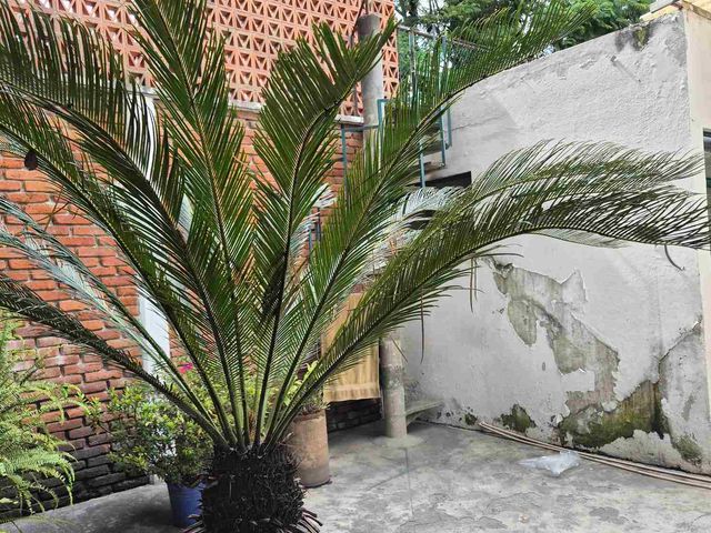 place photo 29