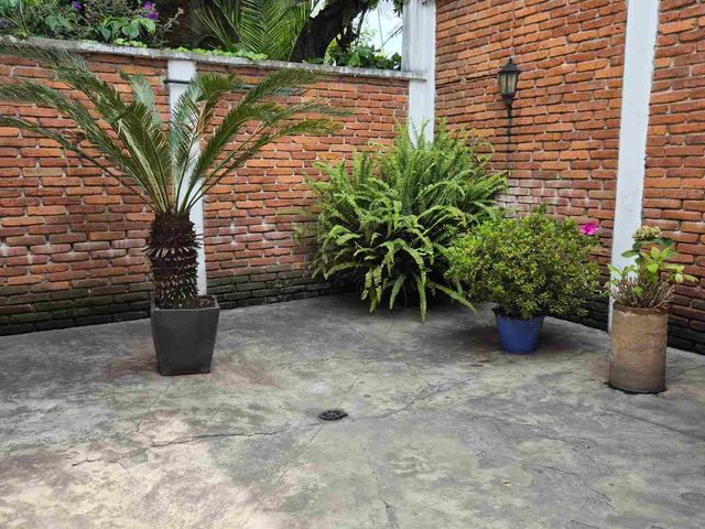 place photo 30