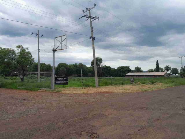 place photo 7
