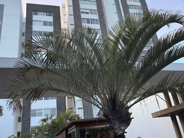 place photo 27