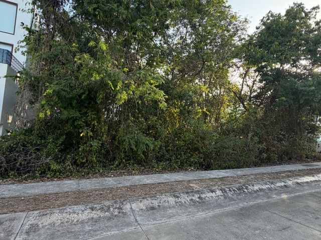 place photo 45