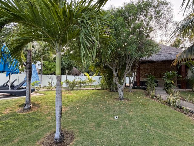place photo 47
