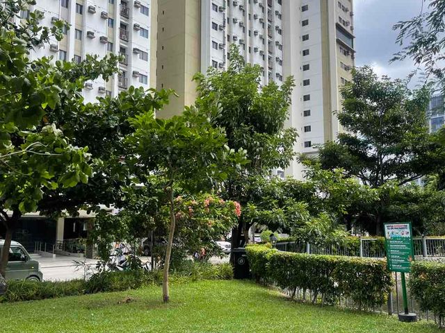 place photo 25