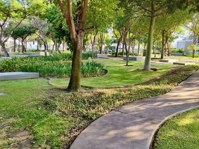 place photo 22