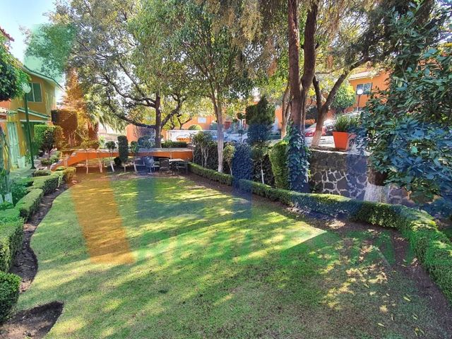 place photo 31