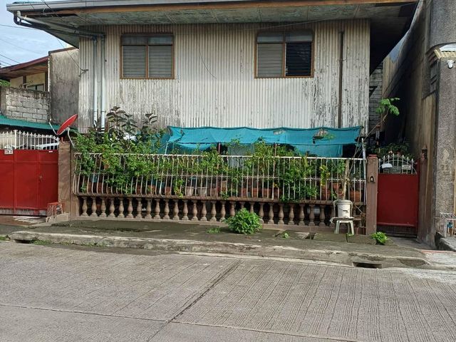 FOR SALE: 175 SQM Single-Family House in plainview, Mandaluyong City