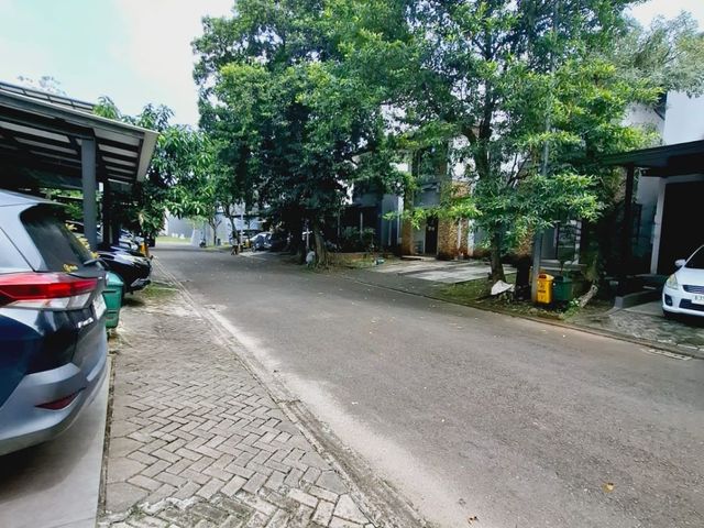 place photo 21