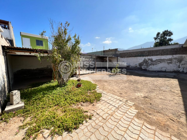 place photo 38