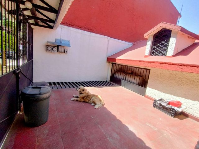 place photo 39