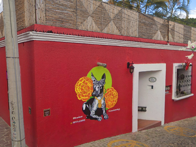 place photo 12