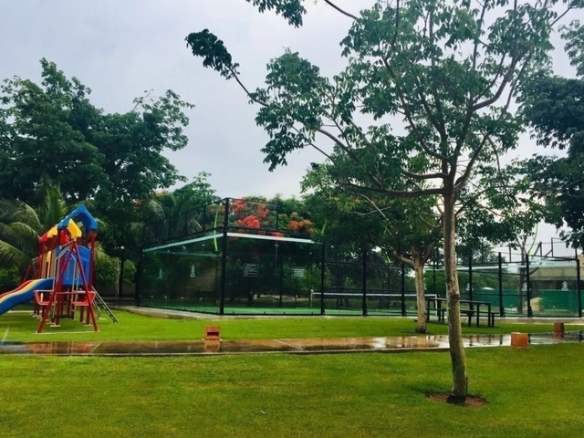 place photo 23