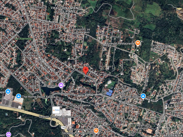 place photo 5