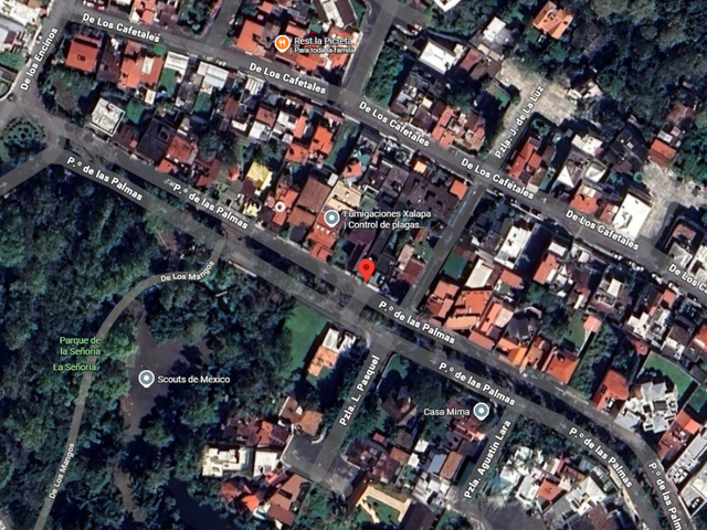place photo 25