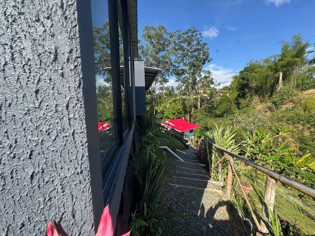 place photo 54