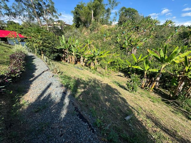 place photo 56