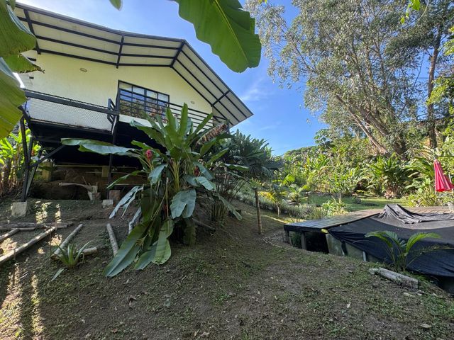 place photo 45