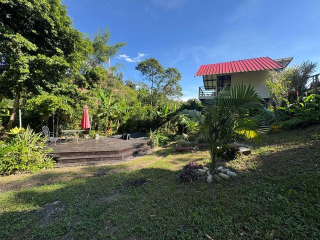 place photo 44