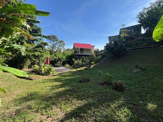 place photo 41