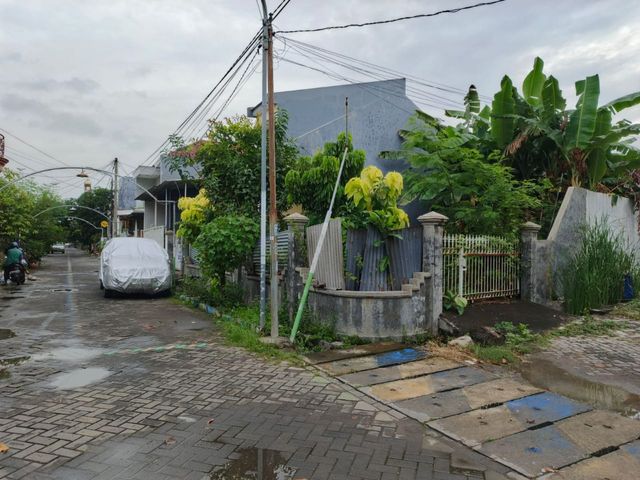 place photo 13