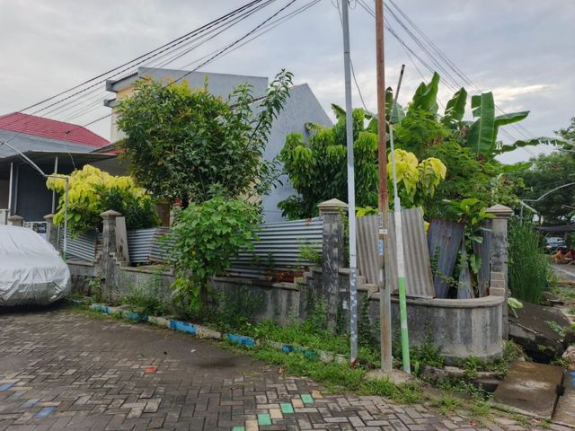 place photo 16