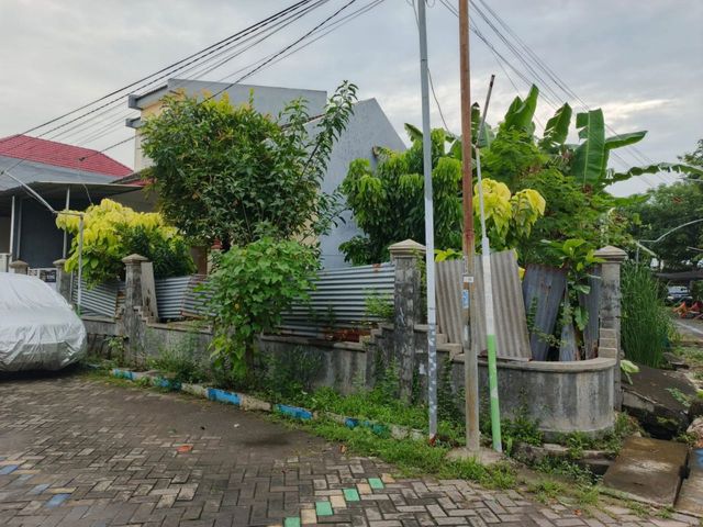 place photo 17