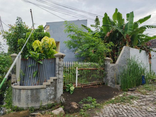place photo 19