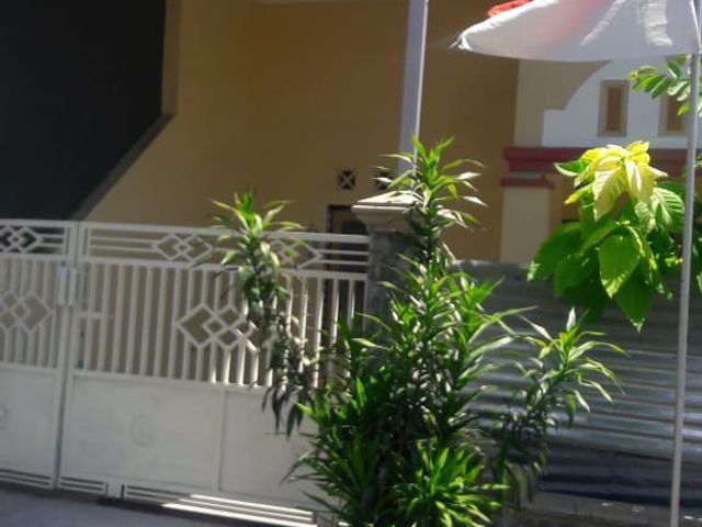 place photo 22