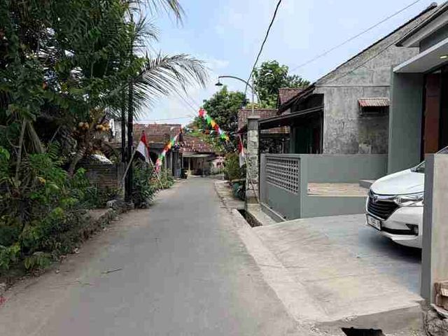 place photo 8
