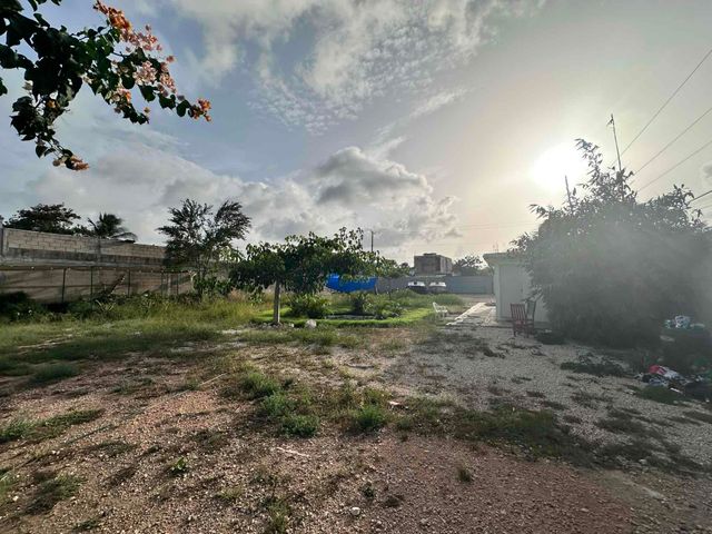 place photo 7
