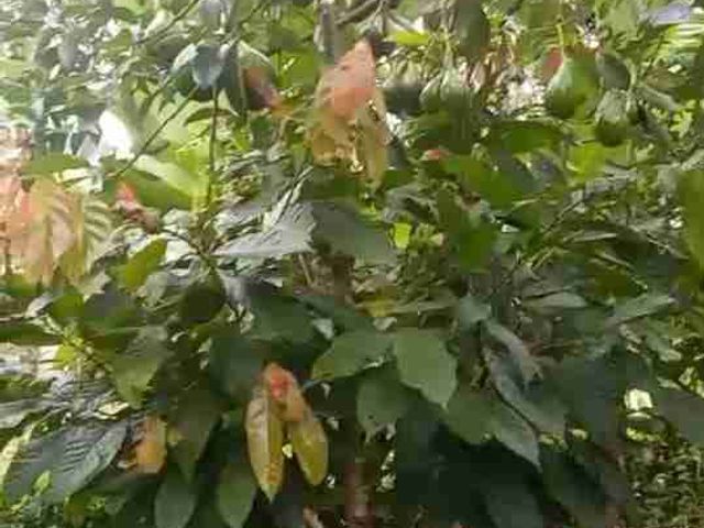 place photo 23