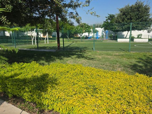 place photo 31