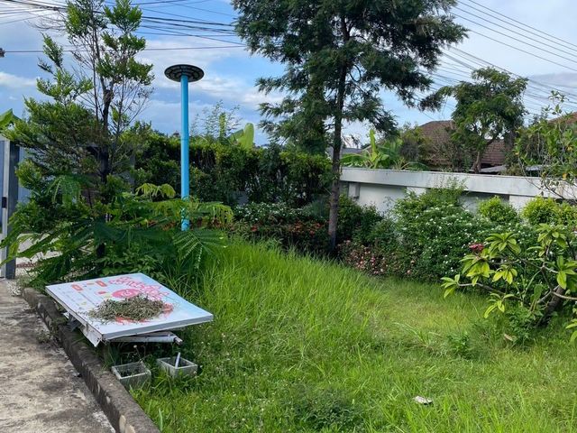place photo 44